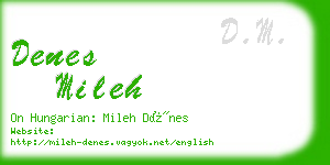 denes mileh business card